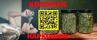 гидропоника Тверь