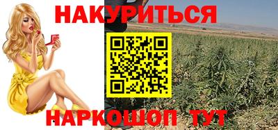 крисы Ставрополь
