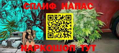 крисы Ставрополь