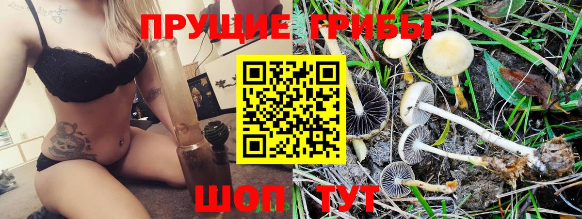 Галлюциногенные грибы Cubensis  Вход с VPN  Нижнеудинск 