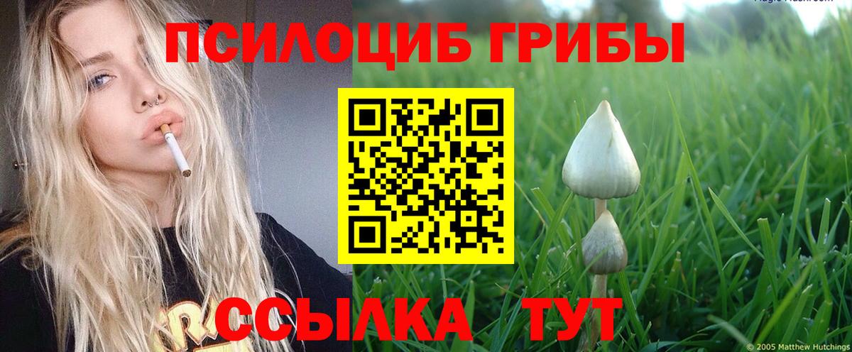 Псилоцибиновые грибы Magic Shrooms Нижнеудинск